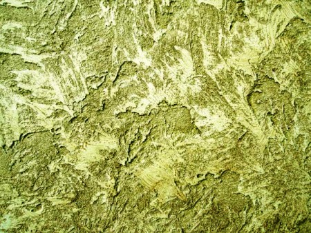 ����������  ���������� 