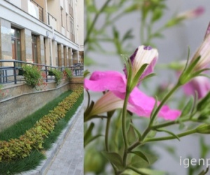 ����� ��������������� ���