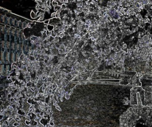 �� ���������� ������������ �������