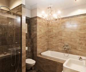 �������� ����� "���� ���� ������� � �������� �������""