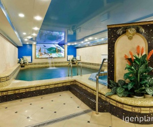 SPA ���������