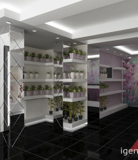 ��������� �����