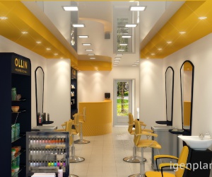 ����� ������� Ollin