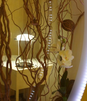 �������� ������������ ������/���-������ � ���������������� ����� ����� ����� ��������� (�����) � ��������� ����������� ���������� �����