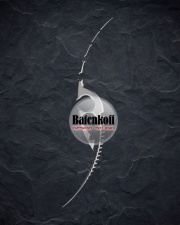 ������-������ "����������" 